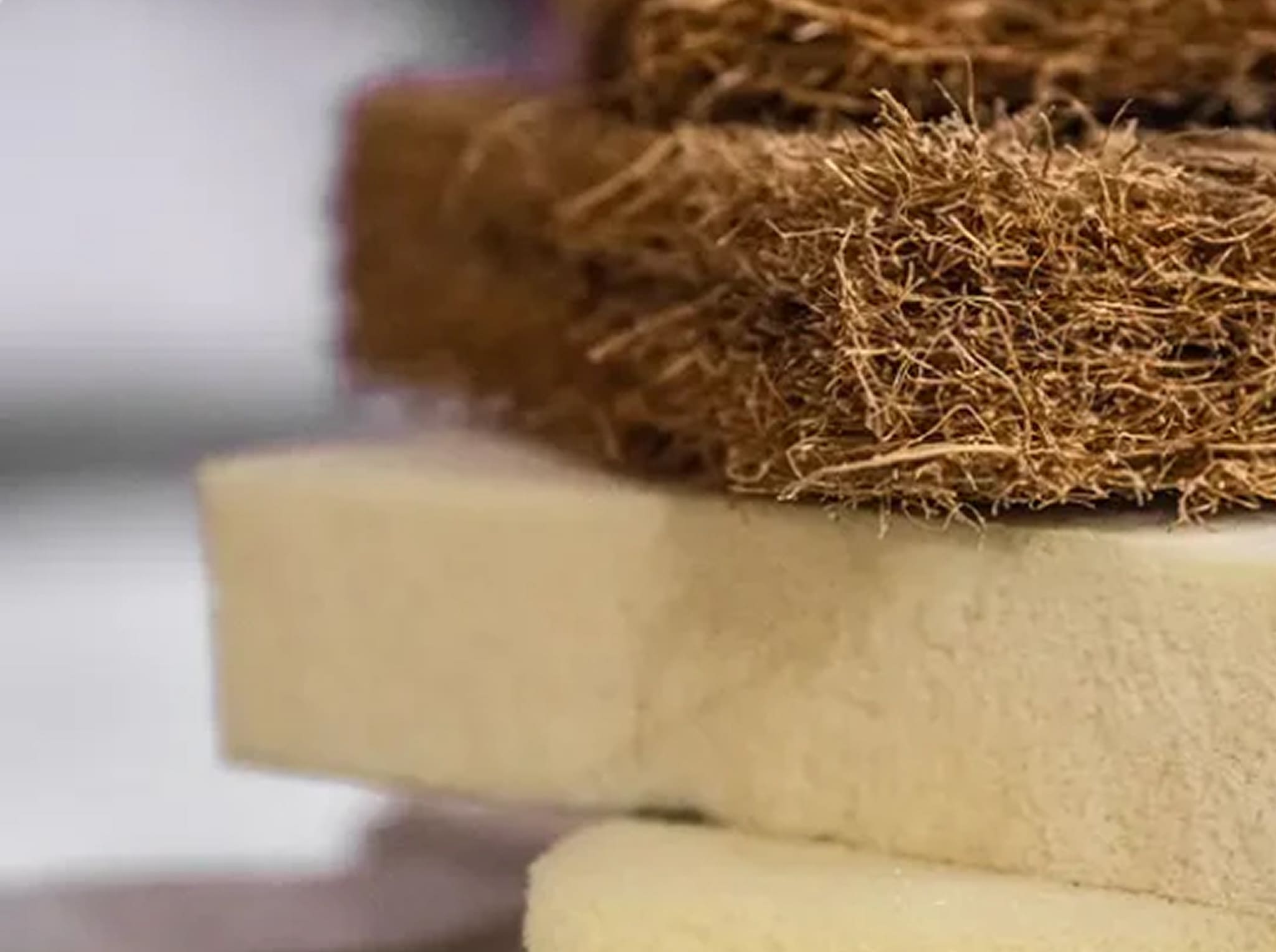 Coir Foam